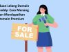 Panduan Lelang Domain GoDaddy: Cara Menang dan Mendapatkan Domain Premium Panduan Lelang Domain GoDaddy Cara Menang dan Mendapatkan Domain Premium